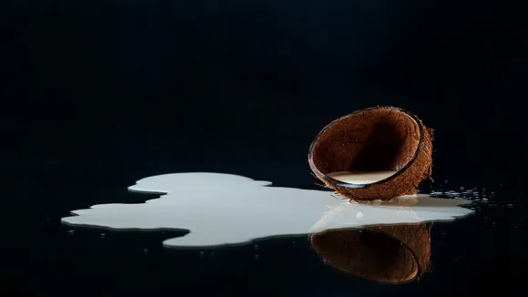 Coconut Milk 