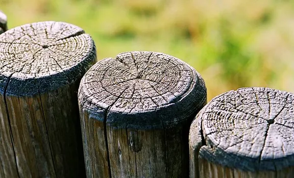 ഇതാ ക്യാമറയേന്തിയ ഒരു കർഷകൻ