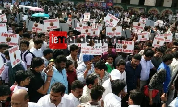 Karnataka, Kambala Protest, Manglore, Bengaluru, hubli