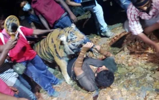 pulimurugan, mohanlal, tiger