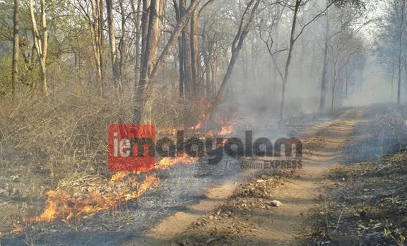 ബന്ദിപ്പൂര്‍ വനത്തില്‍ തീയണയുന്നില്ല; പരിസ്ഥിതി ദുരന്തത്തിലേയ്ക്കു വഴിയൊരുക്കിയത് മനുഷ്യനിർമിത തീ