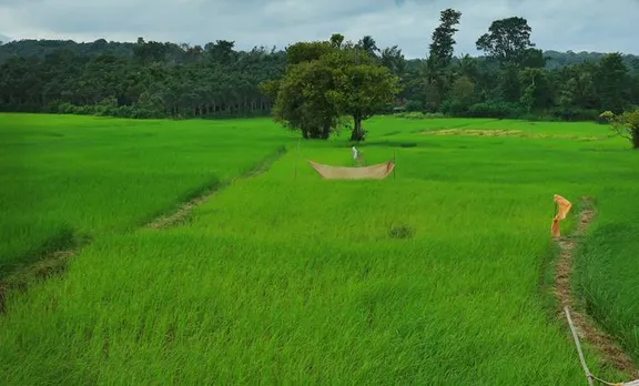 ടൂറിസം കൃഷി; അന്നം അന്യമാകുന്ന അടിയരുടെ ഗ്രാമമായി മാറുന്ന ചേകാടി