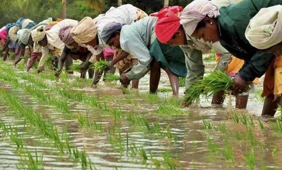 farmers pension, കർഷകർക്ക് പെൻഷൻ, kerala government, കേരള സർക്കാർ, welfare fund, ie malayalam, ഐഇ മലയാളം