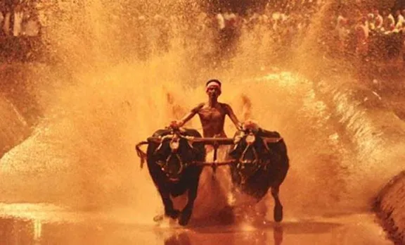 പോത്തോട്ട മത്സരമായ കംബള നിയമവിധേയമാക്കി കര്‍ണാടക ബില്‍ പാസാക്കി