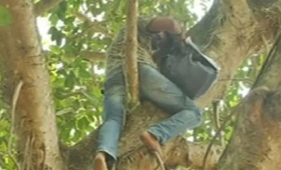 ലോ അക്കാദമിക്ക് മുമ്പില്‍ നാടകീയ രംഗങ്ങള്‍; വിദ്യാര്‍ത്ഥിയെ മരത്തില്‍ നിന്നും താഴെ ഇറക്കി
