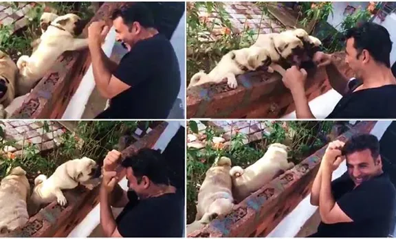 akshay kumar, workout, pugs