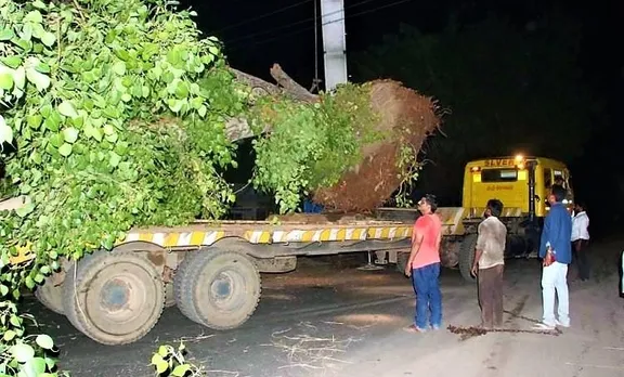 റോഡ് വികസനത്തിനായി അരയാലുകള്‍ക്ക് കത്തി വെക്കണമെന്ന്; സ്വന്തം പോക്കറ്റില്‍ നിന്ന് കാശെടുത്ത് എംഎല്‍എ മരങ്ങള്‍ മാറ്റി നട്ടു