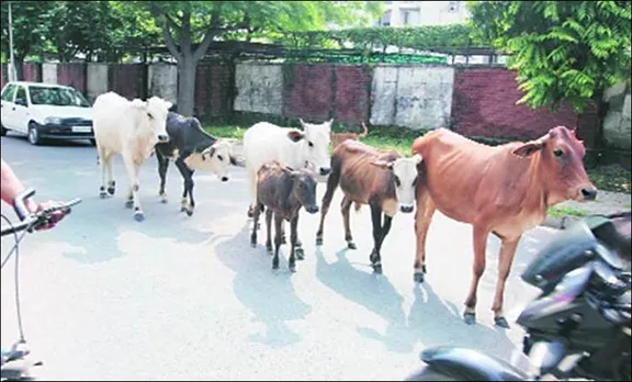 പശുക്കടത്ത് ആരോപിച്ച് മൂന്ന് മുസ്ലീം യുവാക്കളെ തല്ലിക്കൊന്നു