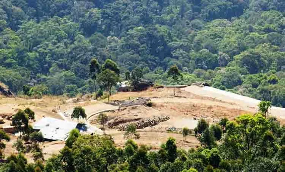 munnar gap road, munnar bio diversity,