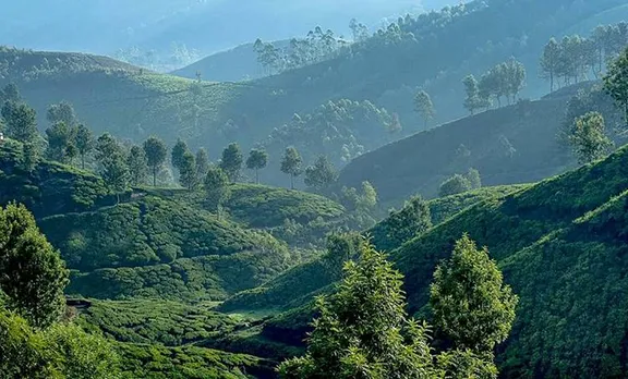 munnar, land , tourism,