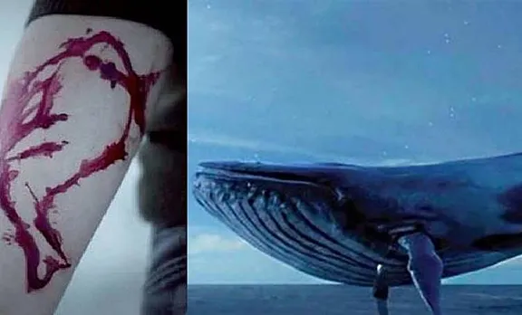 Blue Whale