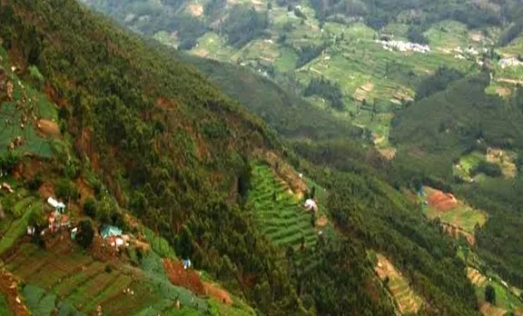 Kottakkambur, kurinji, kurinji sanctuary,