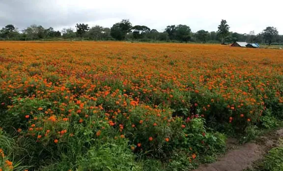 onam, ramdas, flowers, vegetables,