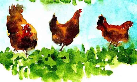Juan rulfo, pedro parama, golden cockerel,novel,