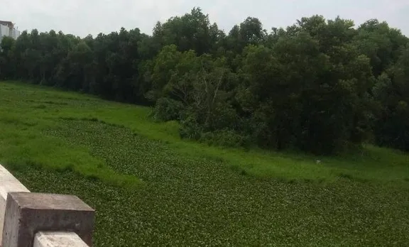 edachira water pollution