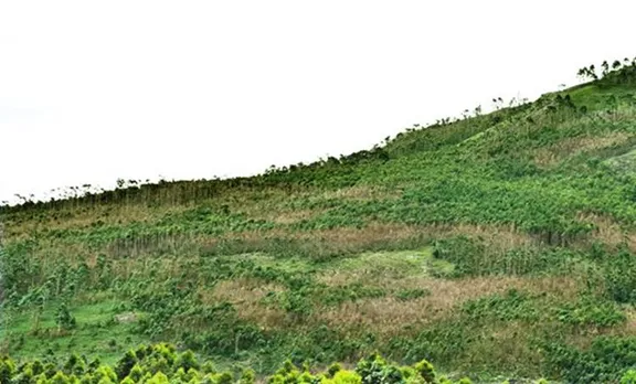 proposed land for neela kurinji sanctuary in 2006