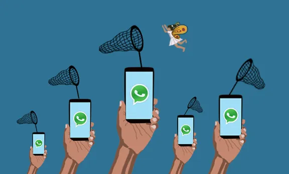 child porn, pedophilia