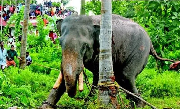 ഗുരുവായൂര്‍ ക്ഷേത്രത്തില്‍ ആനയുടെ കുത്തേറ്റ പാപ്പാന്‍ മരിച്ചു