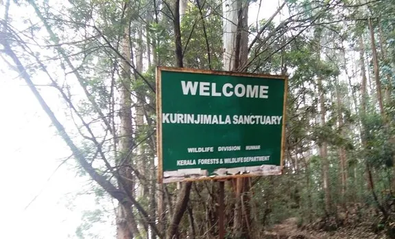 neela kurinji sanctuary in munnar