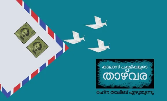 കടലാസ് പക്ഷികളുടെ താഴ്‌വര