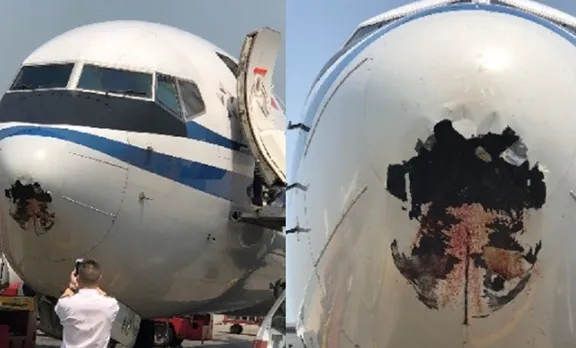 പക്ഷിയുമായി കൂട്ടിയിടിച്ച എയര്‍ ചൈന വിമാനത്തില്‍ ദ്വാരം വീണു; ഒഴിവായത് വന്‍ അപകടം
