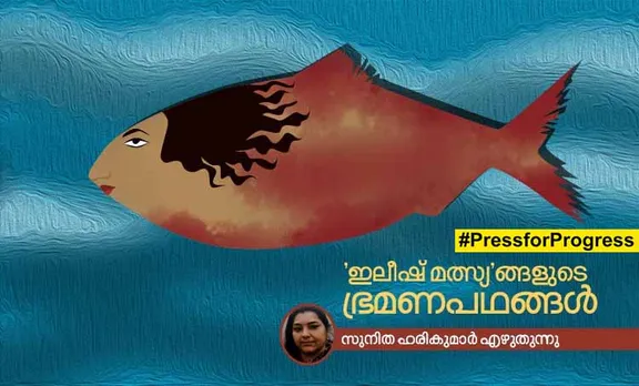 'ഇലീഷ് മത്സ്യ'ങ്ങളുടെ ഭ്രമണപഥങ്ങൾ