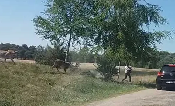 കാലന്‍ പണിമുടക്കിലായിരുന്നു! സഫാരി പാര്‍ക്കില്‍ കൈക്കുഞ്ഞിനേയും കുടുംബത്തേയും ചീറ്റകള്‍ വളഞ്ഞു