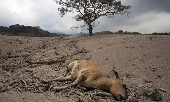ഗ്വാട്ടിമാല അഗ്നിപർവ്വത സ്ഫോടനം: മരിച്ചവരുടെ എണ്ണം 90 ആയി
