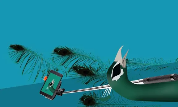 പീലി വിടര്‍ത്തി 'പോസ് ചെയ്തില്ല'; സെല്‍ഫി വേട്ടക്കാരുടെ കൈകൊണ്ട് ദേശീയ പക്ഷിക്ക് ദാരുണാന്ത്യം