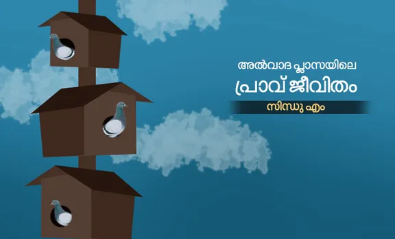 അൽവാദ പ്ലാസയിലെ പ്രാവ് ജീവിതം