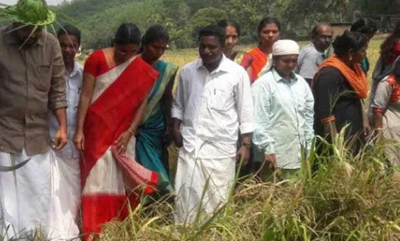 thottara brand rice,