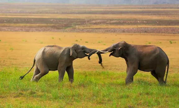 സന്ദീപ് പുഷ്‌കറിന്റെ ചിത്രങ്ങൾ