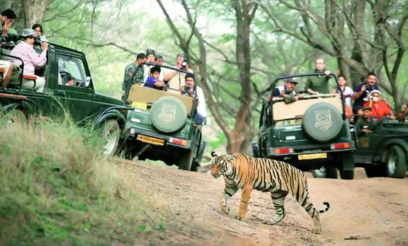 ബന്ദിപ്പൂർ രാത്രിയാത്ര നിരോധനം തുടരും; മേൽപ്പാലം പ്രായോഗികമല്ലെന്ന് കർണാടകം