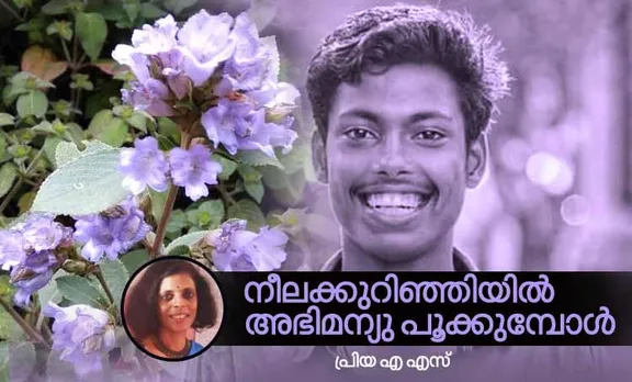 priya a. s, memories,neelakurinji,munnar,abhimanyu,maharajas