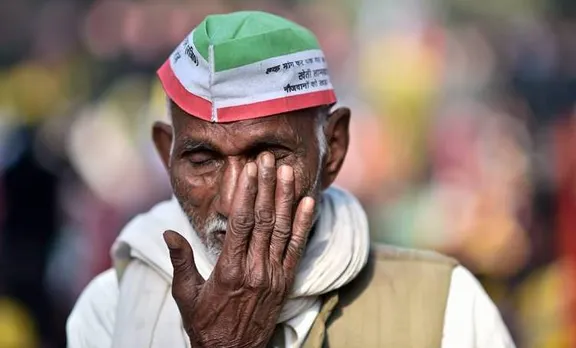 വഴുതനങ്ങ കിലോയ്ക്ക് കിട്ടിയത് '20 പൈസ'; കർഷകൻ കൃഷി നശിപ്പിച്ചു