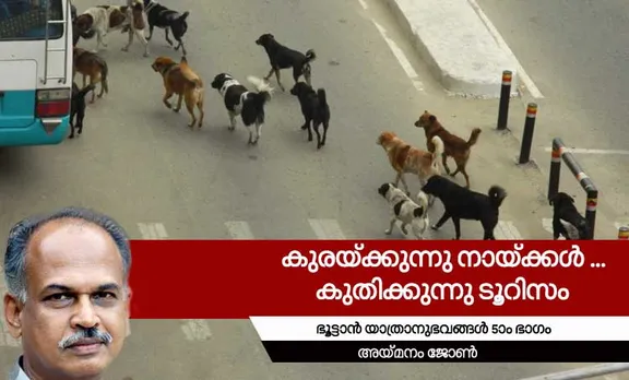 aymanam john, bhutan, memories