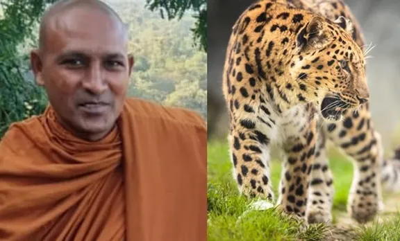 കൊടും വനത്തില്‍ ധ്യാനത്തിലിരുന്ന ബുദ്ധ സന്ന്യാസിയെ പുലി കടിച്ചുകൊന്നു