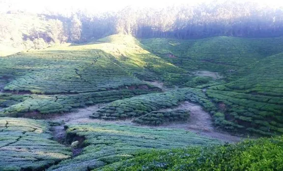 മഞ്ഞിന്‍ പുതപ്പണിഞ്ഞ് മൂന്നാര്‍