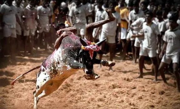 ജെല്ലിക്കെട്ടില്‍ 38 പേര്‍ക്ക് പരുക്ക്; 10 പേരുടെ നില അതീവ ഗുരുതരം