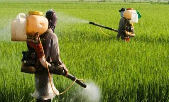 pesticides, paddy field, thiruvalla, ie malayalam, തിരുവല്ല, പാടം, തൊഴിലാളികൾ, കീടനാശിനി, ഐഇ മലയാളം, iemalayalam, ഐ ഇ മലയാളം, today news, news india, latest news, breaking news,kerala news, kerala news malayalam, കേരള വാർത്തകൾ, kerala news today, kerala news headlines, kerala news live, latest malayalam news today,malayalam news, മലയാളം വാർത്തകൾ, malayalam news live, മലയാളം വാർത്തകൾ ലൈവ്, malayalam flash news, ഇന്നത്തെ വാർത്ത, malayalam news online, വാർത്ത ചാനൽ, malayalam flash news, malayalam news online, malayalam news kerala, malayalam news live stream, malayalam news papers,