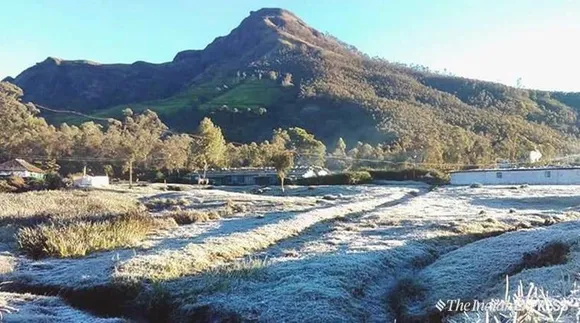 kerala, snow in kerala, കേരളം തണുത്ത് വിറയ്ക്കുന്നു, munnar, snow in munnar, മൂന്നാർ, മൂന്നാറിലെ മഞ്ഞ്, munnar hill station, low temperatures munnar, indian express news