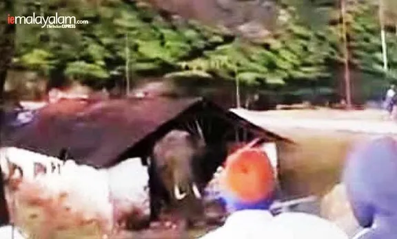 munnar elephant, munnar elephant attack 2018, munnar elephant padayappa, munnar elephant padayappa videos, munnar elephant lake, elephant attack, elephant ride in munnar review, elephant park munnar, മൂന്നാര്‍, മൂന്നാര്‍ ആന, മൂന്നാര്‍ പടയപ്പ, പടയപ്പ ആന, കേരള ന്യൂസ്, കേരള വാര്‍ത്ത, Kerala News, മലയാളം ന്യൂസ്, മലയാളം വാര്‍ത്ത, Malayalam News, Breaking News, പ്രധാന വാര്‍ത്തകള്‍, ഐ ഇ മലയാളം, iemalayalam, indian express malayalam, ഇന്ത്യന്‍ എക്സ്പ്രസ്സ്‌ മലയാളം
