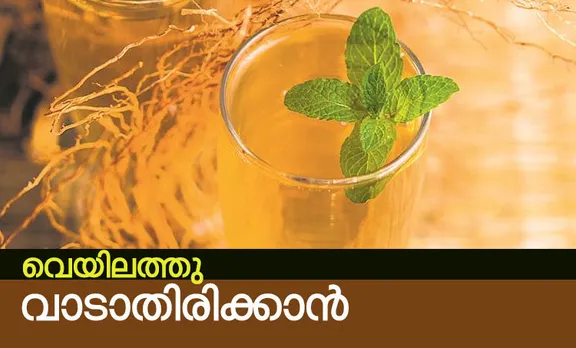 summer 2019, how to stay hydrated, key ingredient to stay hydrated, dehydration, healthy drinks, heath risks due to dehydration,