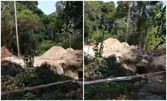 Santhivanam, , ശാന്തിവനം