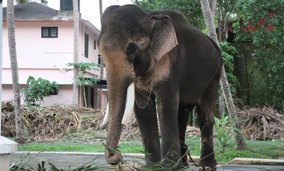 Thechikkottukavu Ramachandran