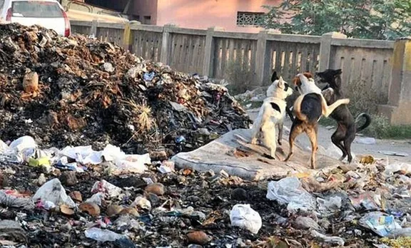രണ്ട് വയസുകാരിയുടെ മൃതദേഹം നായ്ക്കള്‍ വലിച്ച് പുറത്തിട്ടത് മാലിന്യ കൂമ്പാരത്തില്‍ നിന്നും