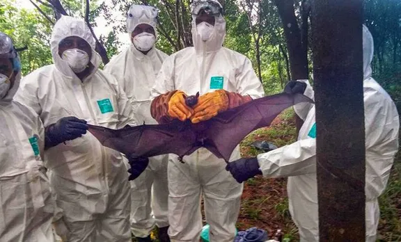 Nipah Virus, നിപ വൈറസ്, Kochi, കൊച്ചി, kerala, കേരളം, Medical college, മെഡിക്കല്‍ കോളേജ്, shailaja teacher,