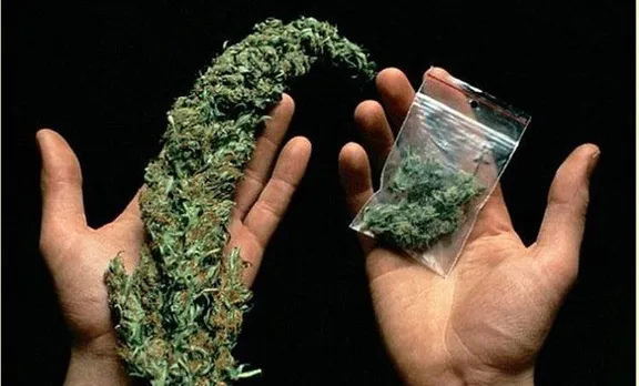 Whatsapp, വാട്സ്ആപ്, Marijuana, കഞ്ചാവ്, Arrested, അറസ്റ്റ്, Excise Department, എക്സൈസ്, malappuram, മലപ്പുറം