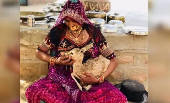 deer, മാന്‍കുഞ്ഞ്, breast feeding, മുലയൂട്ടല്‍, Viral Photo, വൈറല്‍ ചിത്രം, Animals, മൃഗം, bishnoy, ബിഷ്ണോയ്