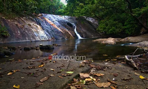 മഴ നനഞ്ഞ് കാട്ടുവഴികളിലൂടെ; ധോണിയിലേക്കൊരു യാത്ര